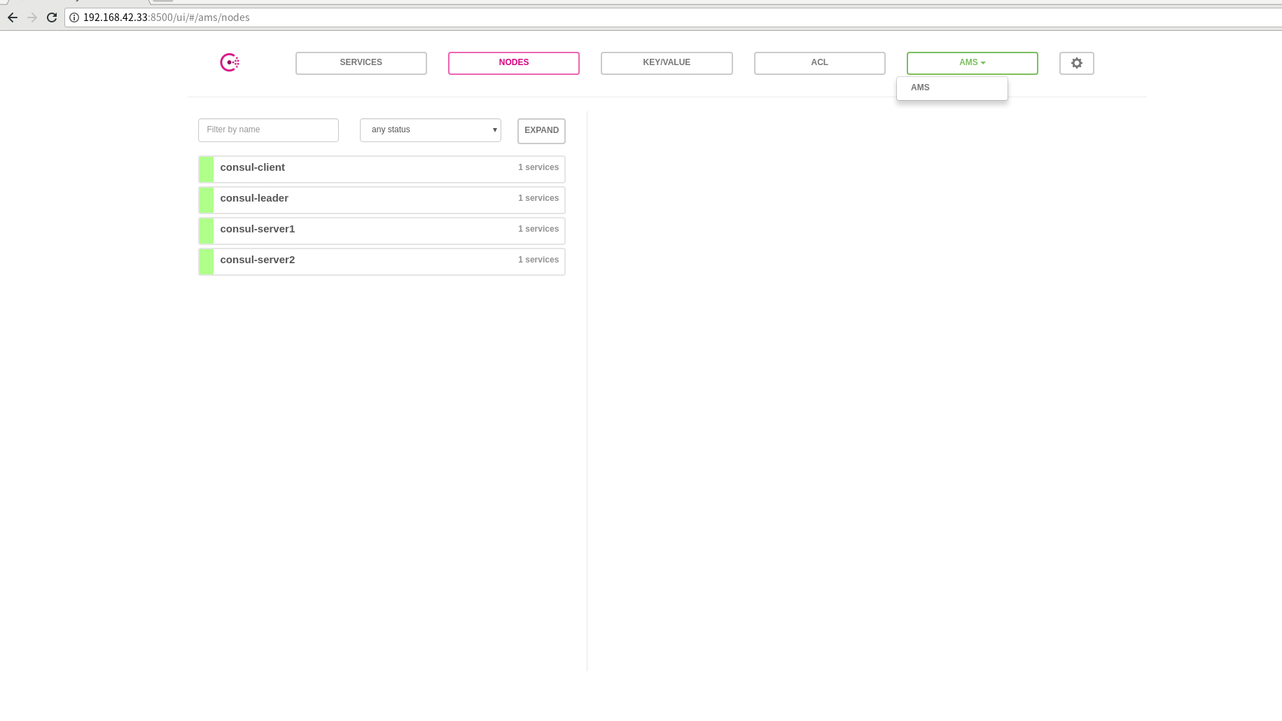 consul cluster ui