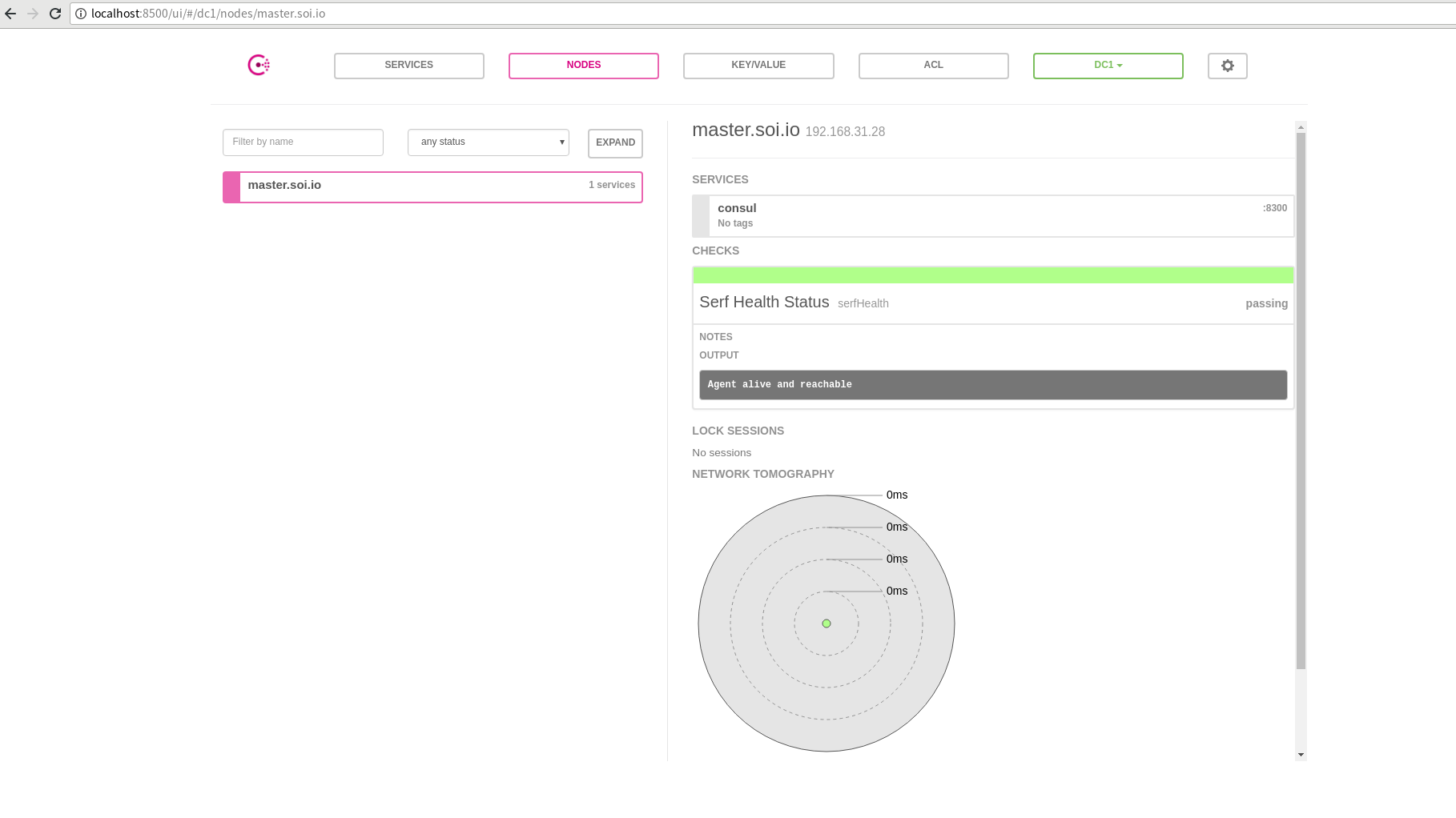 consul ui